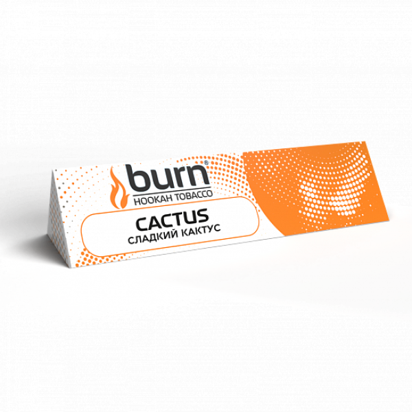 Табак BURN CACTUS 25 грамм в Мурманске
