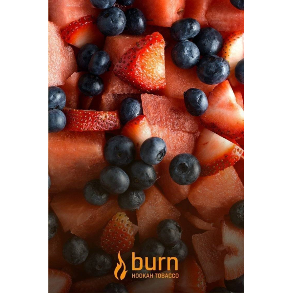 Табак Burn Berried Treasure 100 грамм в Мурманске