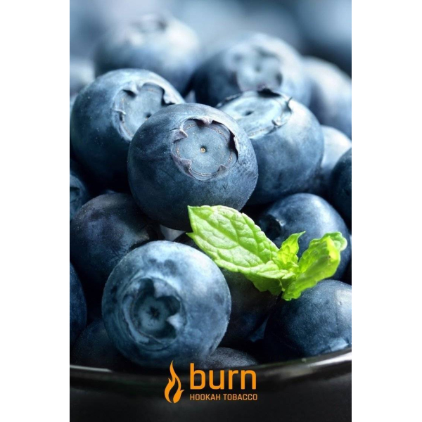 Табак Burn Blueberry Mint 100 грамм в Мурманске