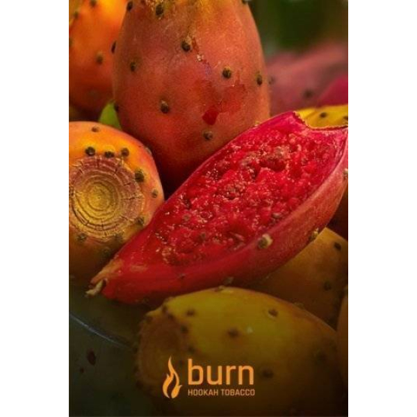 Табак Burn Cactus 100 грамм в Мурманске