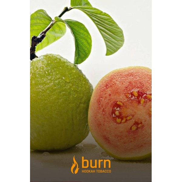 Табак Burn Guava 100 грамм в Мурманске