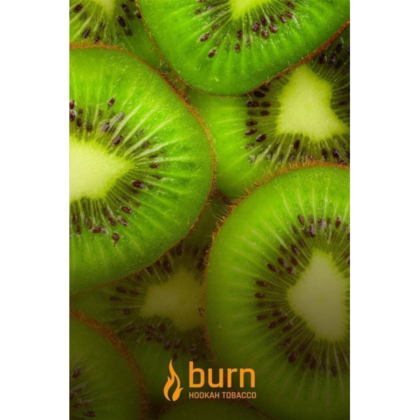 Табак Burn Kiwi 100 грамм в Мурманске