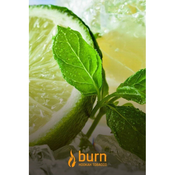 Табак Burn Lemon Mint 100 грамм в Мурманске