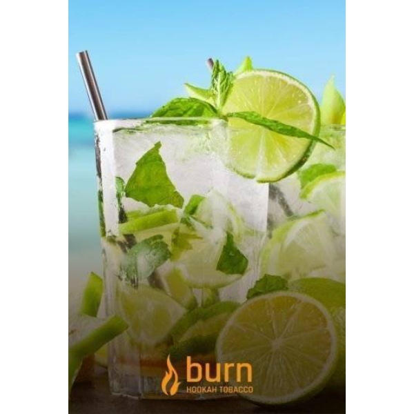 Табак Burn Mojito 100 грамм в Мурманске