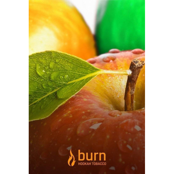 Табак Burn Three Apples 100 грамм в Мурманске
