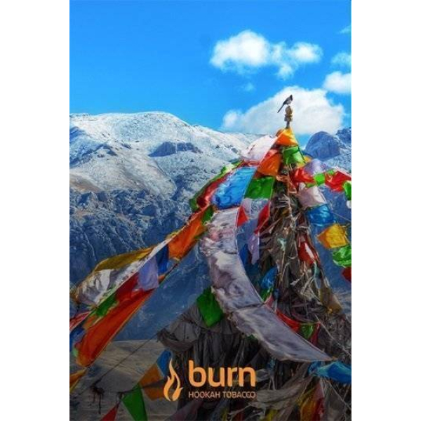 Табак Burn Tibet 100 грамм в Мурманске