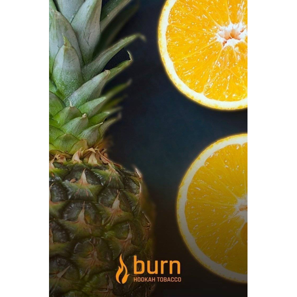 Табак Burn White Night 100 грамм в Мурманске