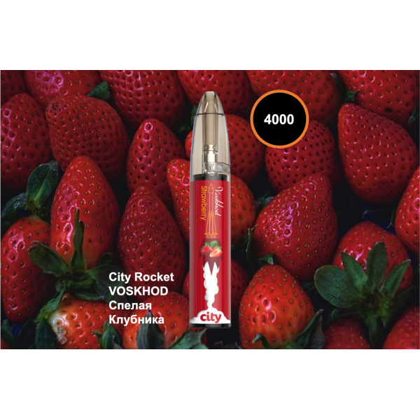 City Rocket VOSKHOD, 4000 тяг в Мурманске
