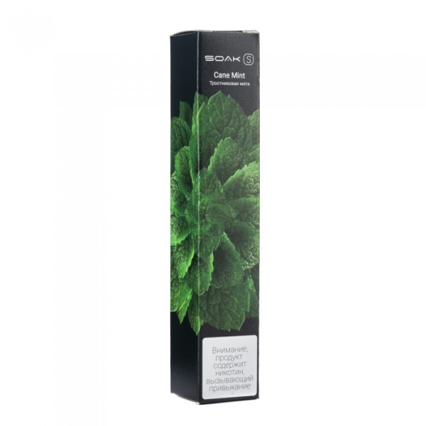 SOAK S Cane Mint (Тростниковая мята), 2500 тяг в Мурманске
