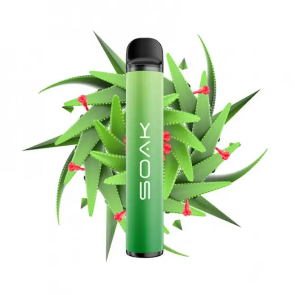 SOAK X Aloe Vera (Алое Вера), 1500 тяг в Мурманске