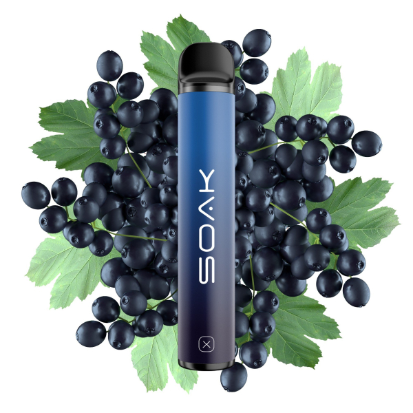 SOAK X Forest Blackcurrant (Лесная черная смородина), 1500 тяг в Мурманске