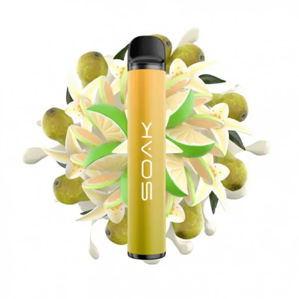SOAK X Vanilla Pear (Ванильная груша с лаймом), 1500 тяг в Мурманске