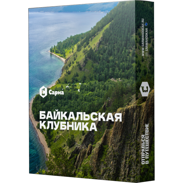 Табак Сарма Байкальская Клубника 25 гр в Мурманске