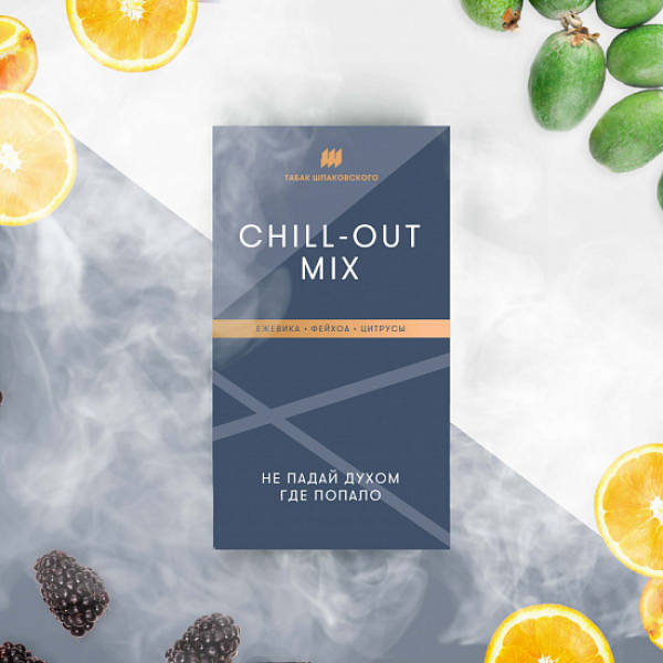 Табак Шпаковского Chill Out (Ежевика Фейхоа Цитрусы) 40 грамм в Мурманске