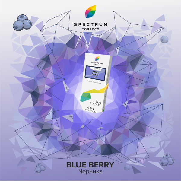 Табак Spectrum Classic Blue Berry 100 грамм в Мурманске