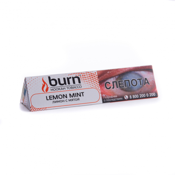 Табак Burn Lemon Mint  25 грамм в Мурманске