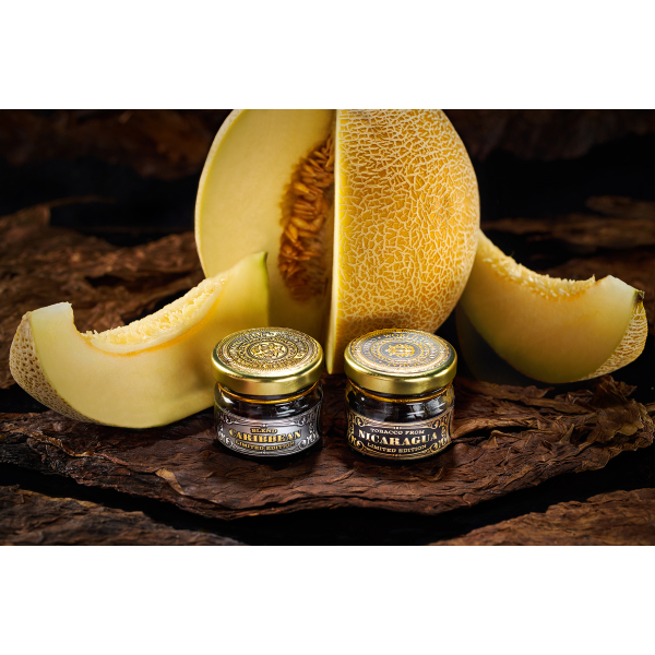Табак WTO CARIBBEAN BLEND CB17 Дыня 20 грамм в Мурманске